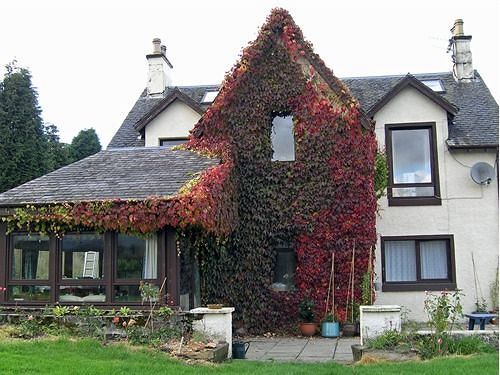 Achnabobane Farmhouse Spean Bridge Eksteriør bilde